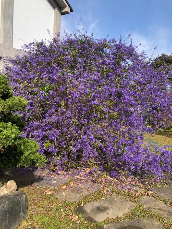 فلاينج فيلا Nantou المظهر الخارجي الصورة