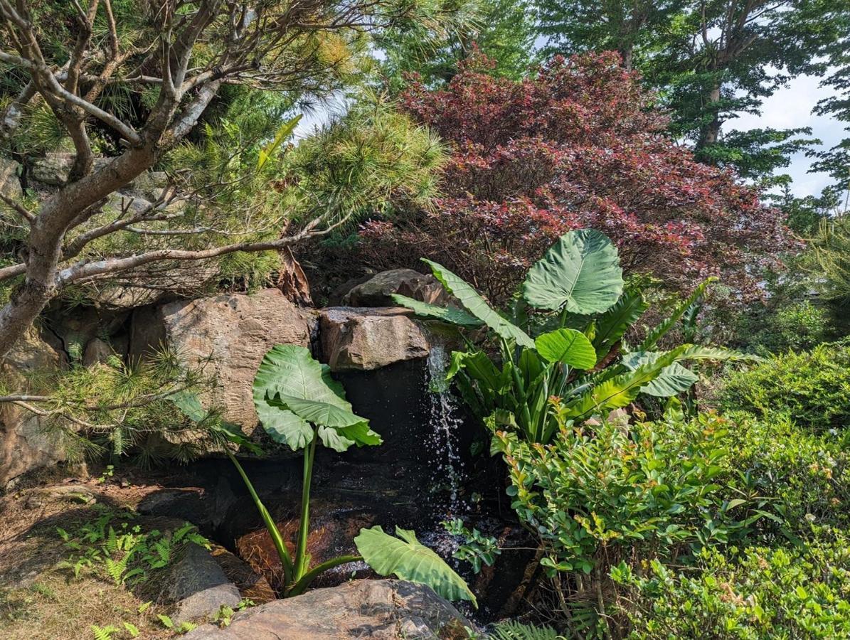 فلاينج فيلا Nantou المظهر الخارجي الصورة