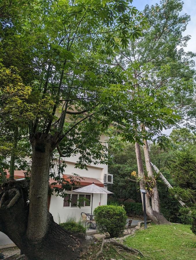 فلاينج فيلا Nantou المظهر الخارجي الصورة