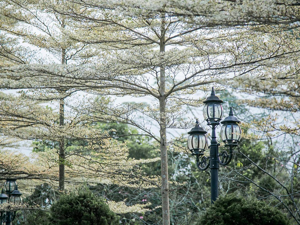 فلاينج فيلا Nantou المظهر الخارجي الصورة